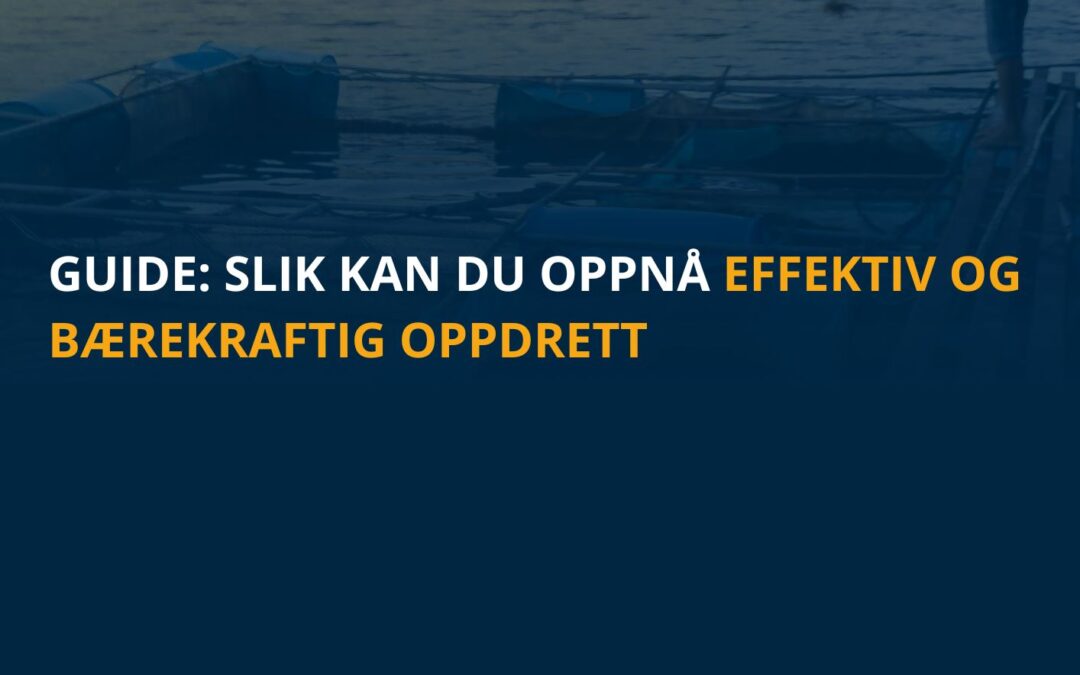 Guide: Slik kan du oppnå effektiv og bærekraftig oppdrett​