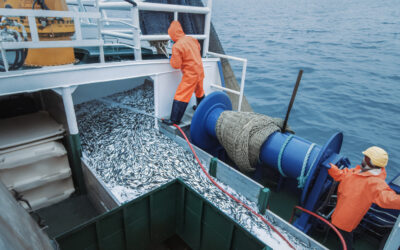 Why it might be a good idea to consider a new management system in the aquaculture industry?