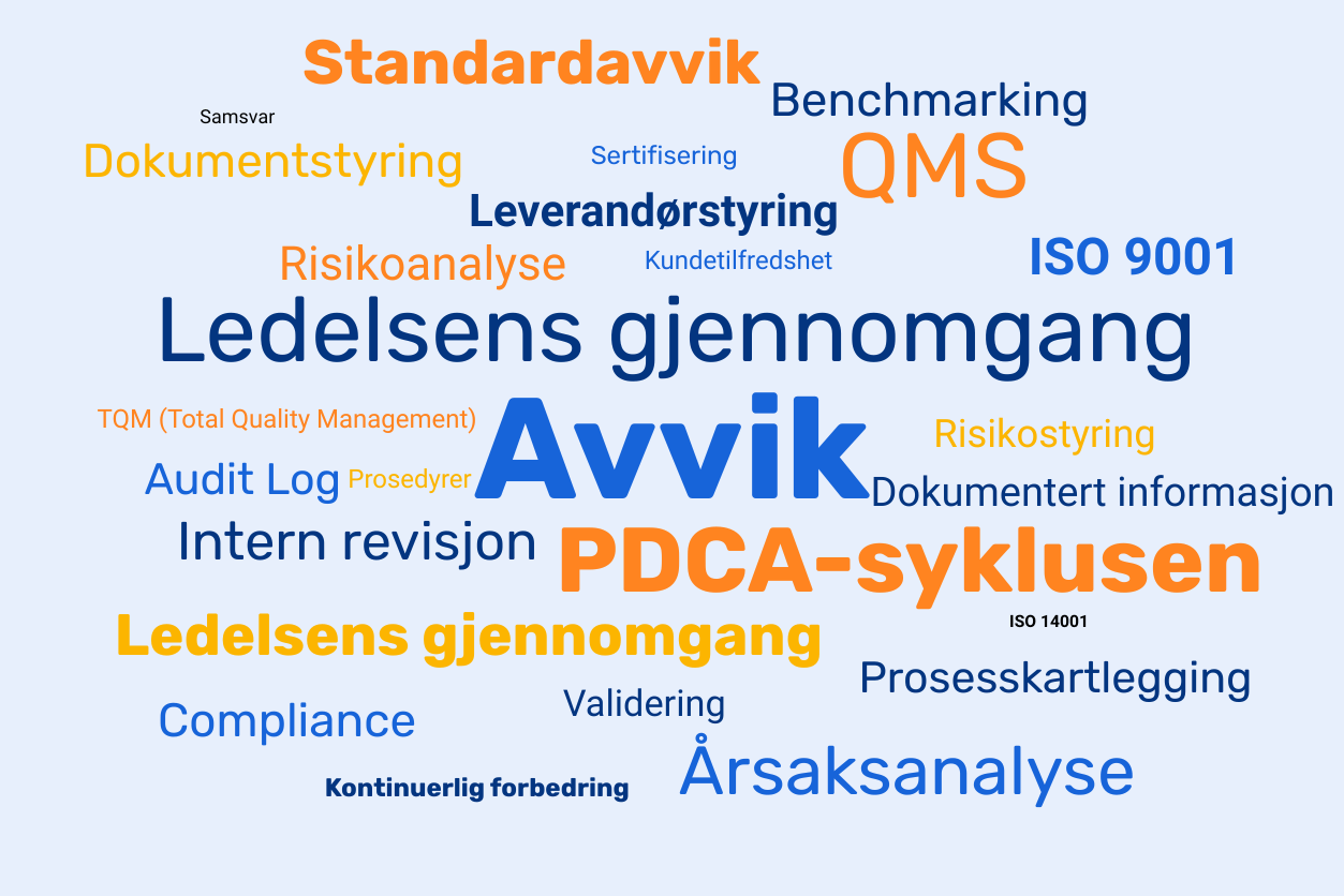 Ordsky_QMS_ordliste Ordsky som viser de mest brukte ordene innenfor QMS