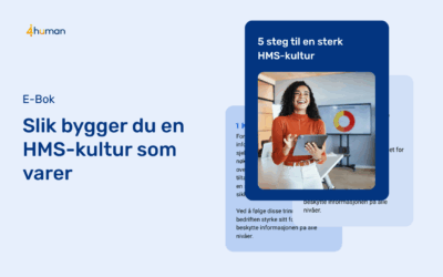 E-Bok: 5 steg til en sterk HMS-kultur